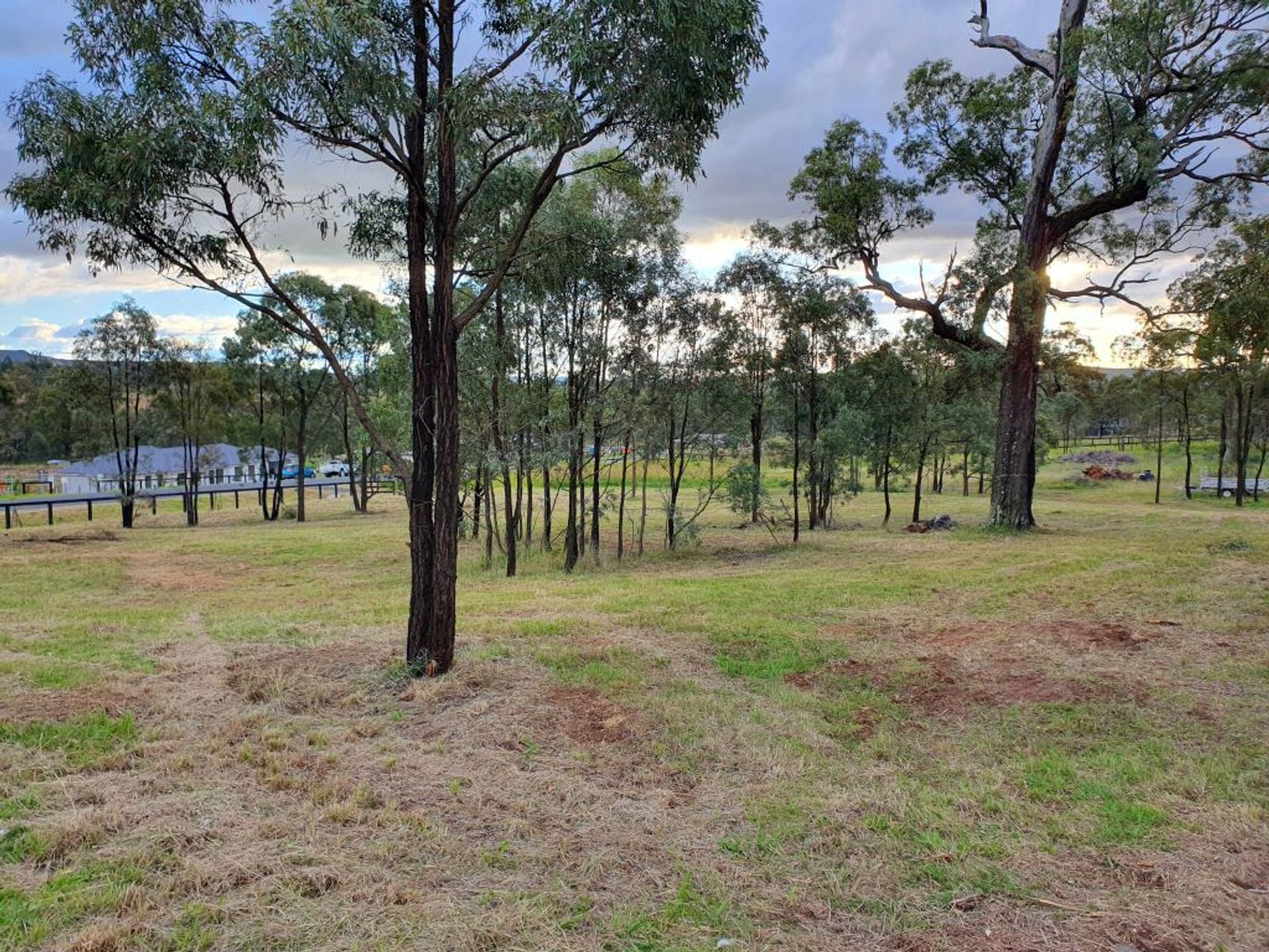 30 STOCKYARD PDE, MUSWELLBROOK NSW 2333, 0 침실, 0 욕실, Section