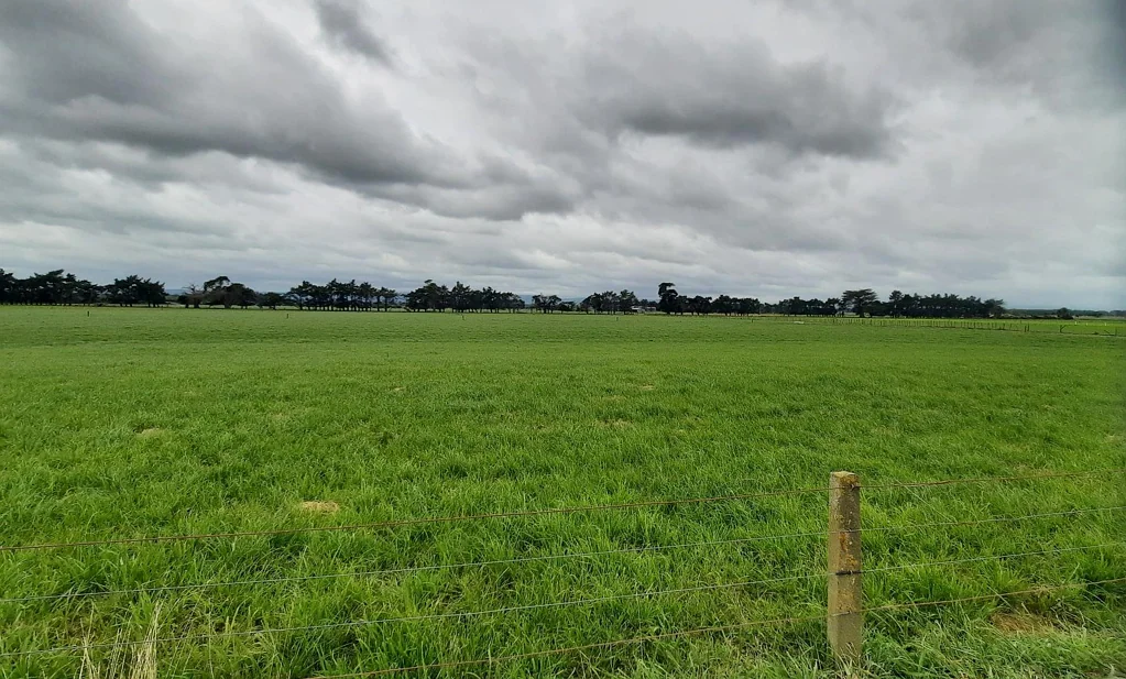 Bunnythorpe  Great Solis, Great Location