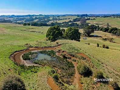 00 Dudfields Road, Mount Hicks, TAS 7325, 0 slaapkamers, 0 badkamers, Lifestyle Property