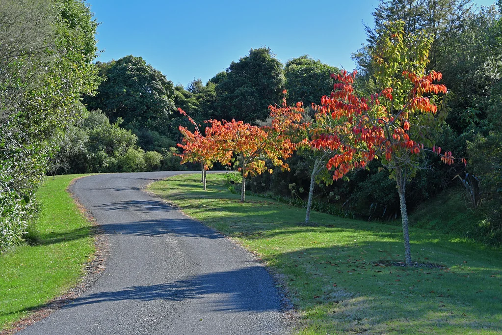 Kinloch  Create Your Own Retreat