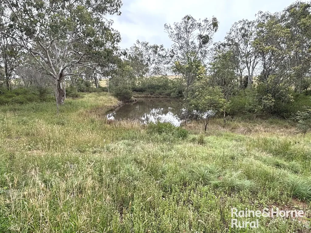 Kunioon  Lot 264 Kunioon Rd - 160 Acres