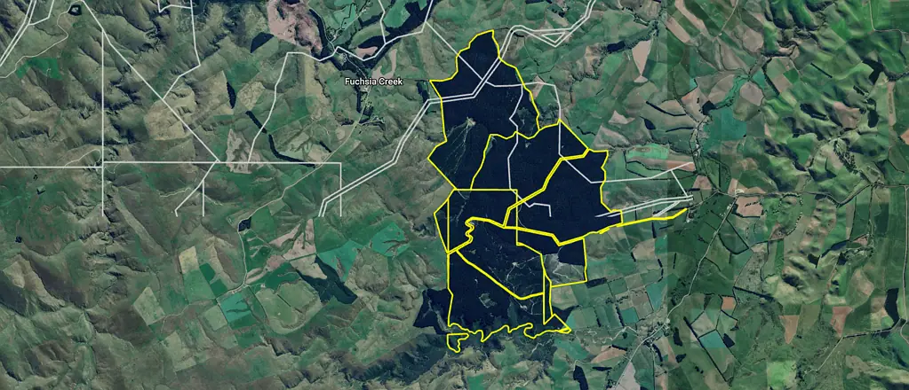 Enfield and Surrounds Alpine Forest - Strategic Forestry and Carbon Investment Asset