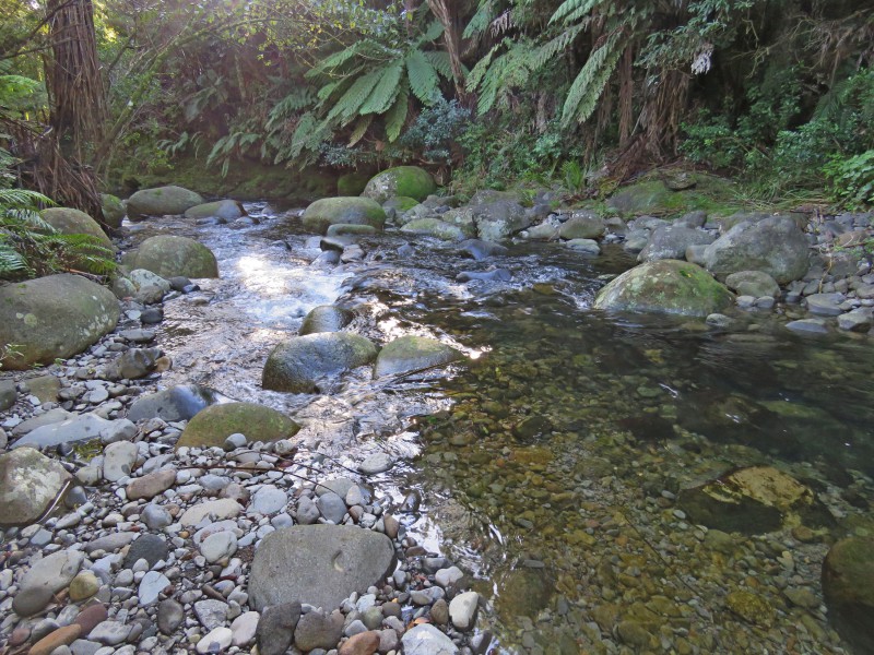 33 Windridge Lane, Aongatete, Bay Of Plenty, 0 chambres, 0 salles de bain