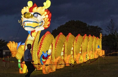 奥克兰元宵灯会回来啦，今年亮点有点多