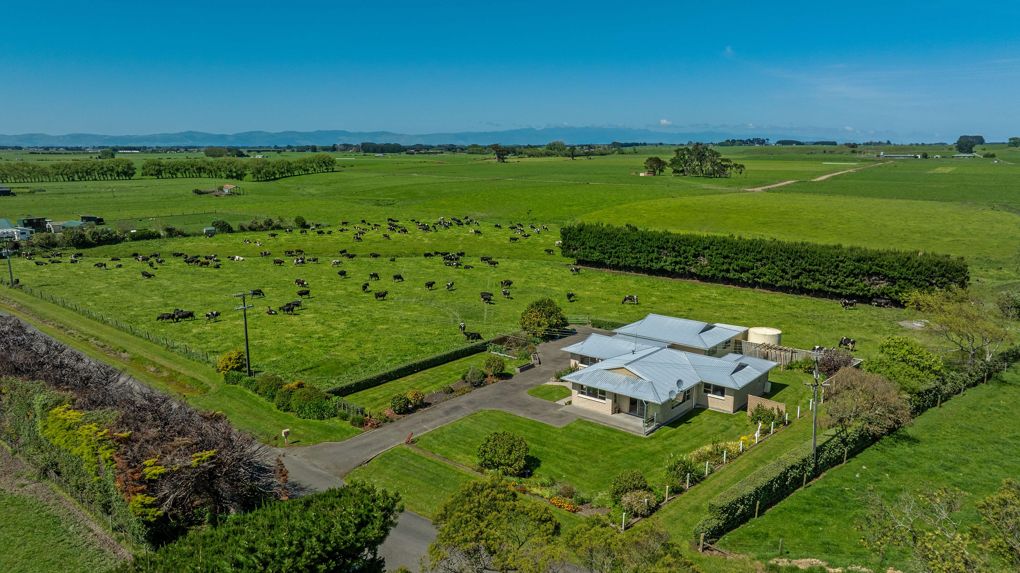 137 Soldiers Road, Rongotea, Manawatu, 3房, 2浴, Lifestyle Property