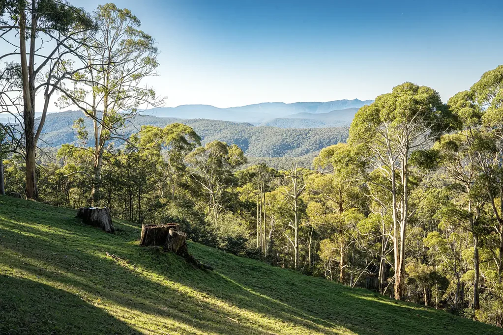Tolmie 3침실 Elevated Country Living with Breathtaking Alpine Views