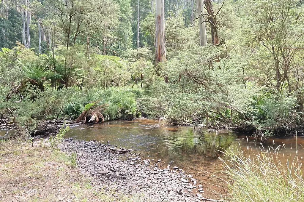 LOT 37 Toorongo Valley Road, Noojee, VIC 3833