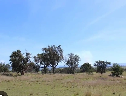 15 Newlyns Place, Frogs Hollow, NSW 2550, 0房, 0浴, Section