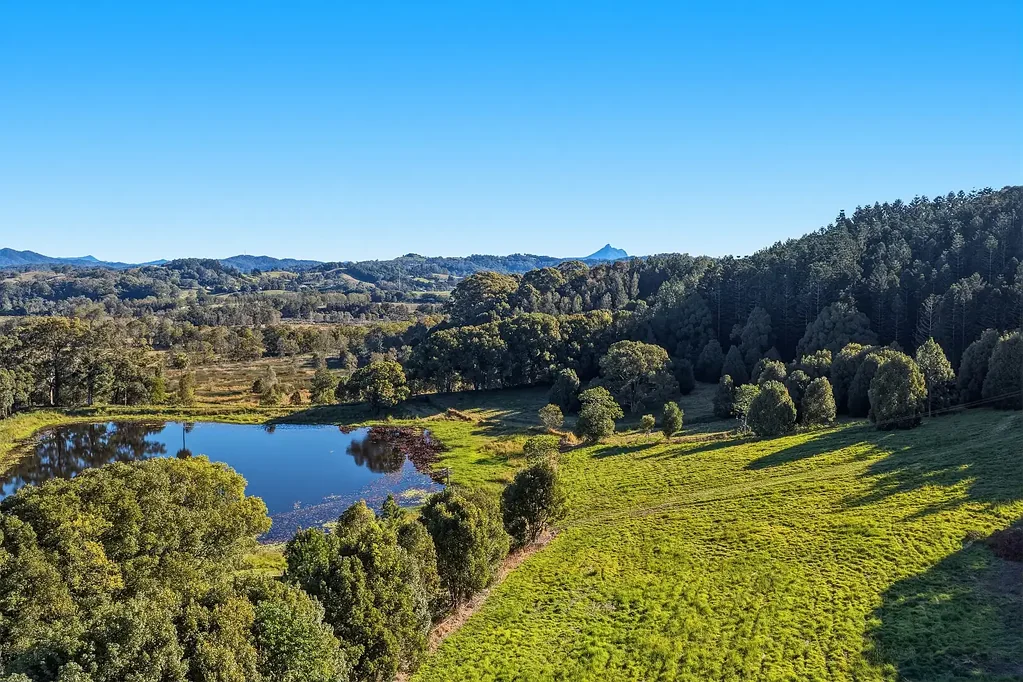 Duranbah "Rainforest Ridge" - 70 hectares. Five lots. Four dwelling entitlements. One rare opportunity.