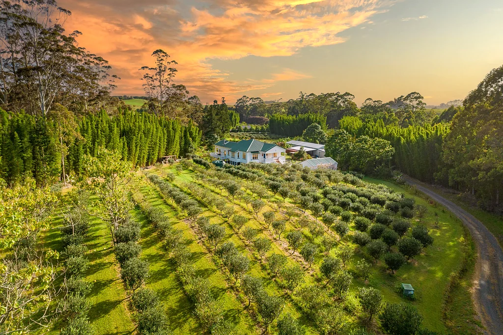 Kerikeri 3房  Kerikeri Lifestyle Dream