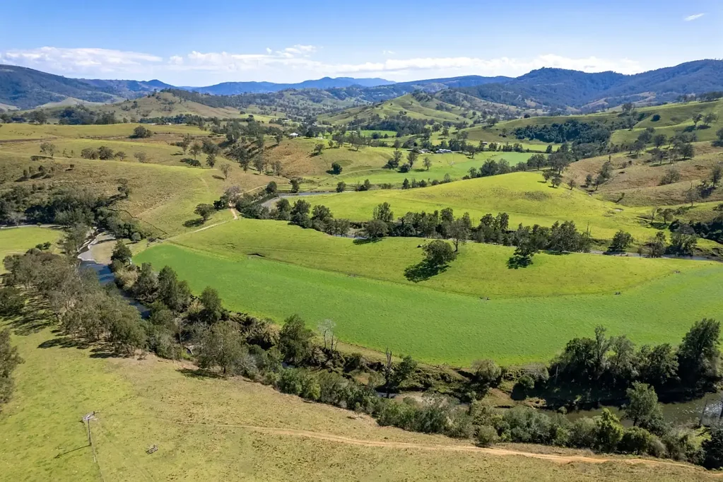 Lostock Yamba Woota - Angus Stud & First Class Cattle Breeding & Fattening Enterprise