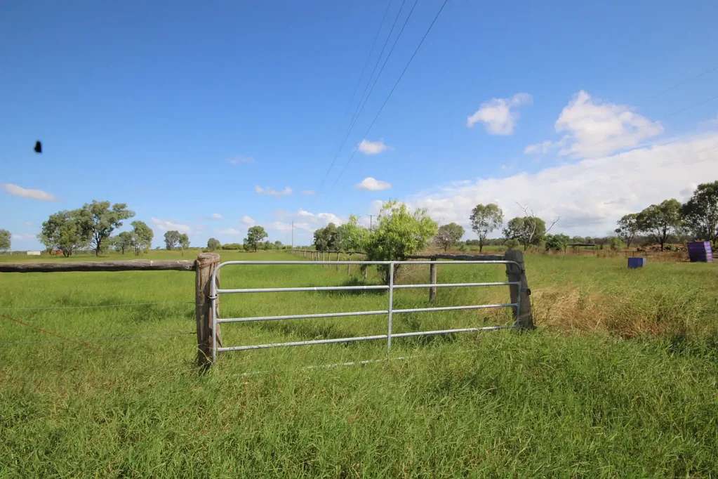 Depot Hill PERFECT FOR HORSES. ZONED RURAL.  3.43 HECTARES. ( 8.48 ACRES) $295,000. ONLY MINUTES TO THE CITY HEART.