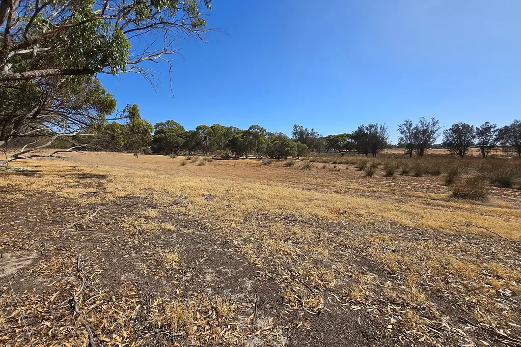 Katanning  Great Lifestyle Block
