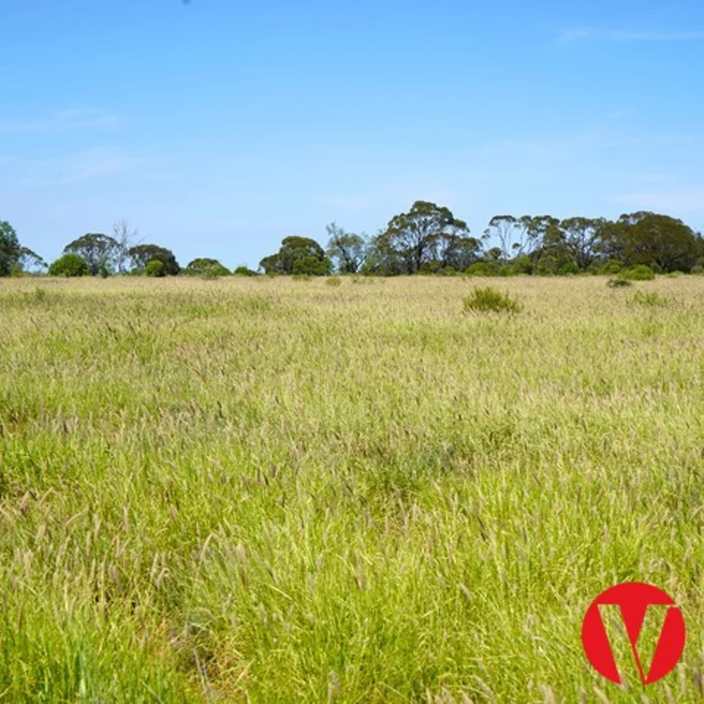 Mungallala Price Reduced - Mungallala Grazing Country