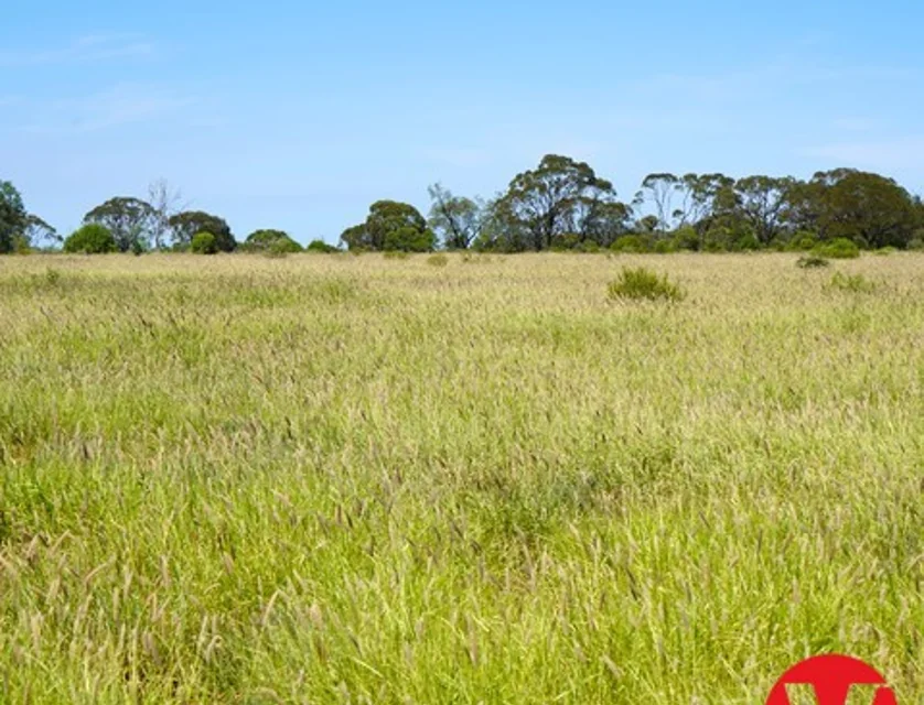 1081 Tareela Access Road, Mungallala, South West, 0 Kuwarto, 0 Banyo, Lifestyle Property