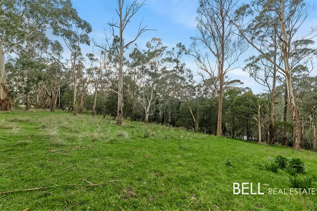 Hoddles Creek Acreage Opportunity with Mountain Views.