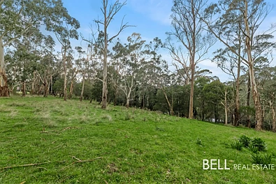 Hoddles Creek Acreage Opportunity with Mountain Views on 2 Titles.