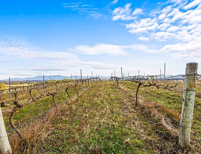 Lots 50A-15 Westgate Road, Armstrong, Horsham, 0 침실, 0 욕실, Lifestyle Property