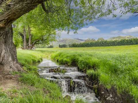 Hawarden  'Stonyroyd' Immaculately Presented Deer Farm