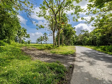 388 Finlayvale Road, Finlayvale, QLD 4873, 0房, 0浴, Section