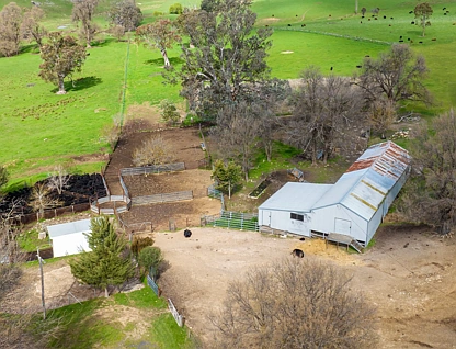 242 Back Nacki Creek Road, Sharps Creek, Riverina, 4 Bedrooms, 3 Bathrooms, Lifestyle Property