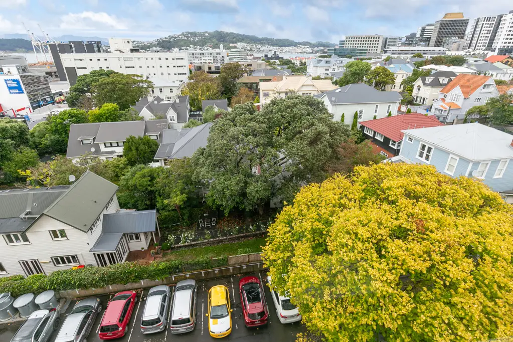 Thorndon 1房  Vendor Wants Sold