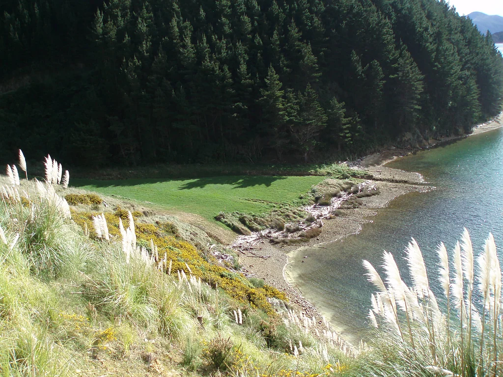 Marlborough Sounds Vendor demands Sale, Price reduced.