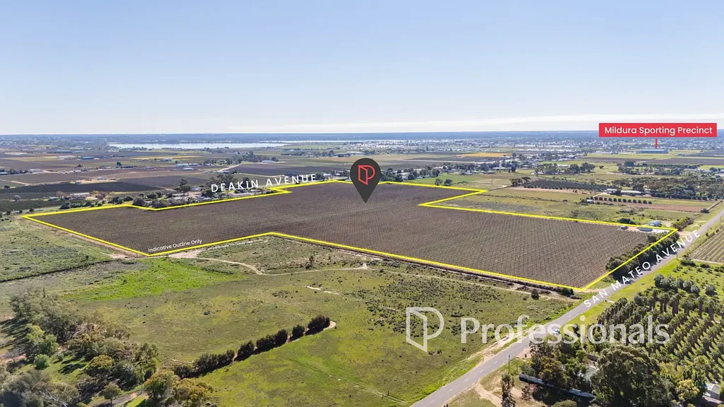 Mildura Premium Table Grape Holding – 24.05 Ha (59.43 Acres)