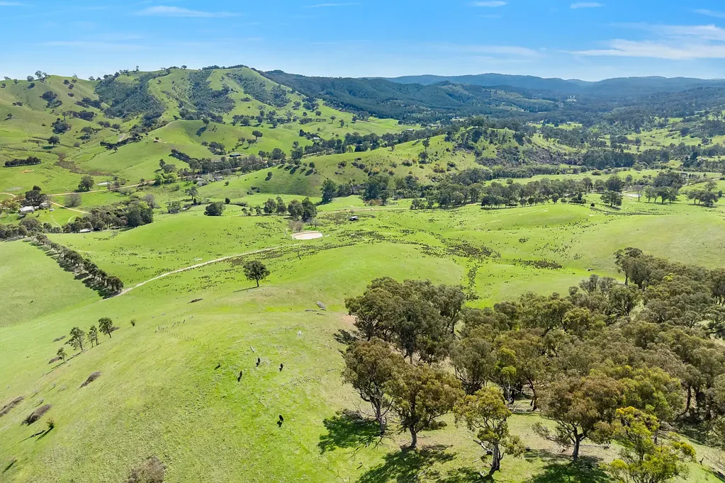 62 Hells Hole Creek Road, Bonnie Doon, VIC 3720