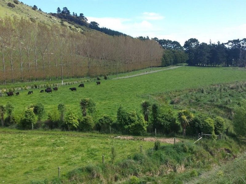 Rural Banks Peninsula