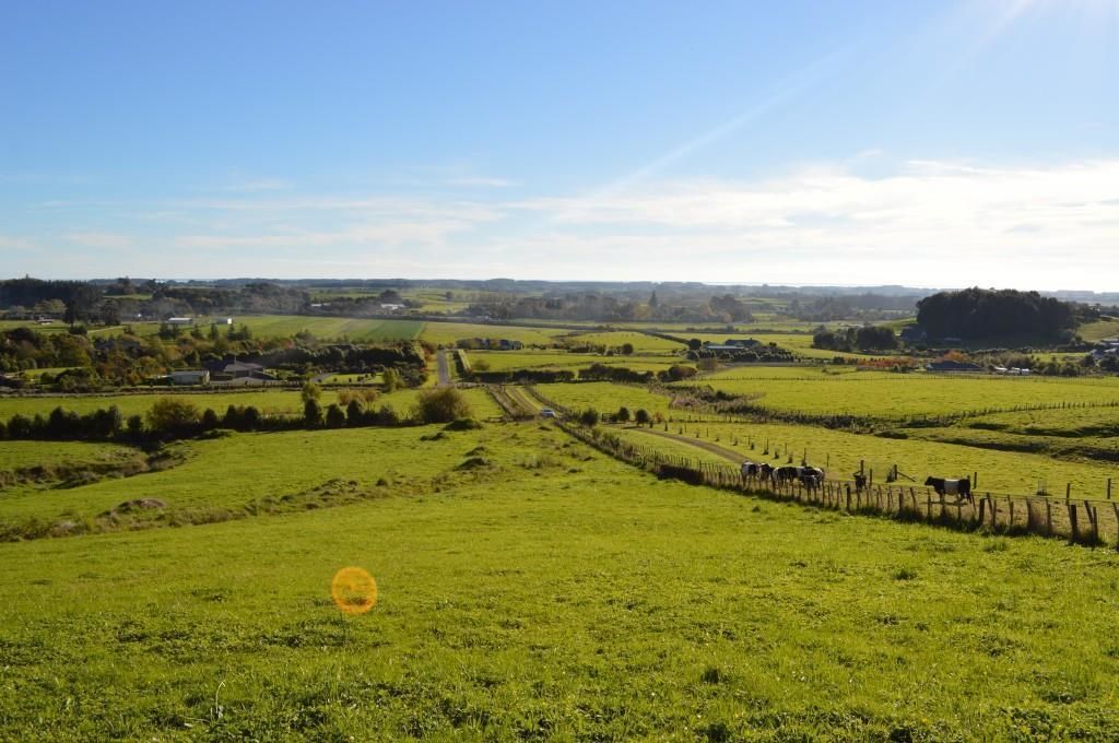 5 Nikau Lane, Manakau, Horowhenua, 3 phòng ngủ, 0 phòng tắm