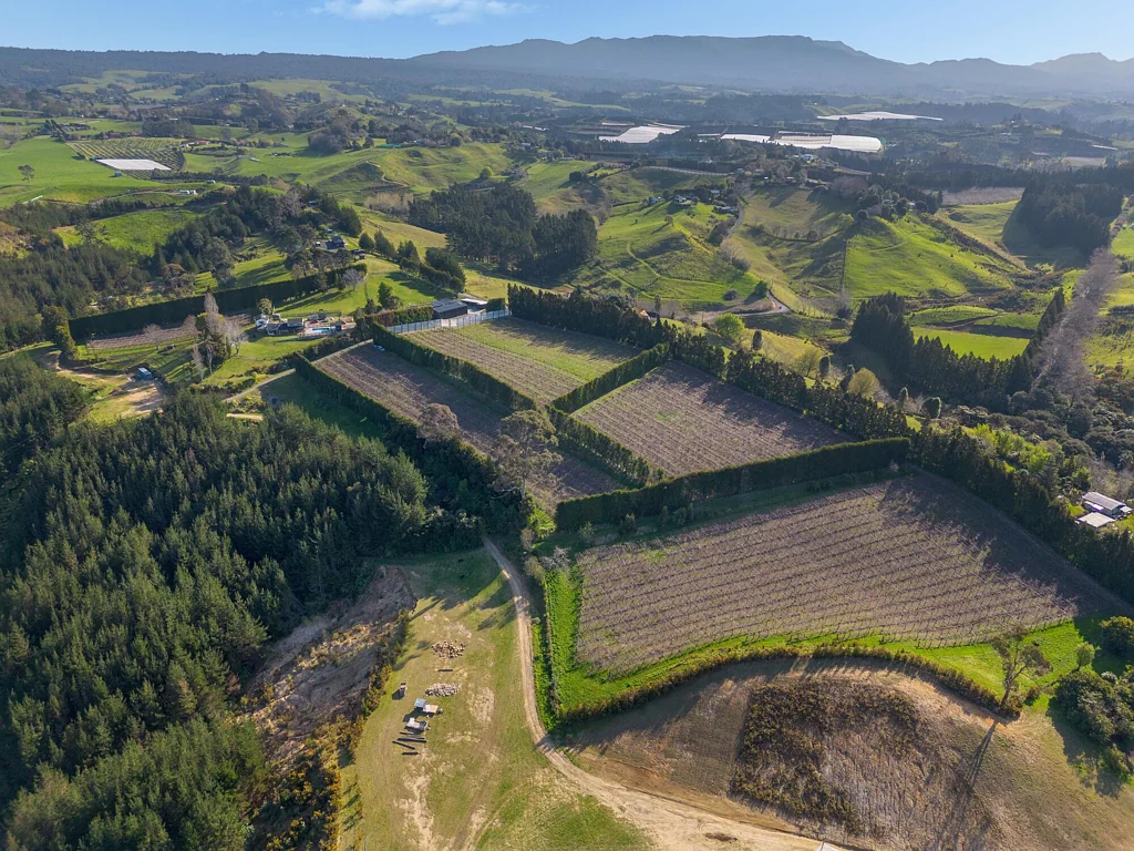 Whakamarama Big views, big shedding with kiwifruit income