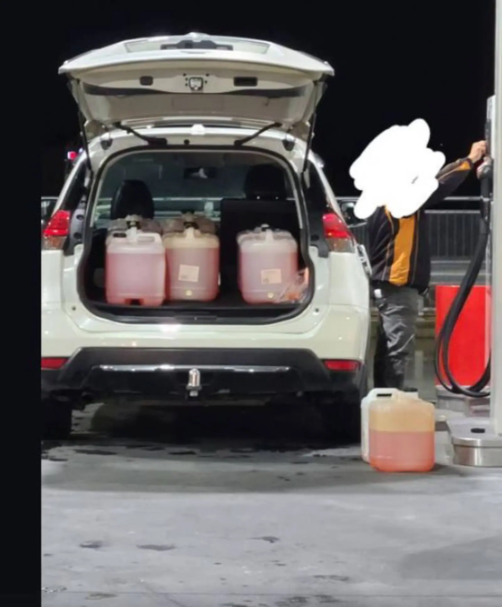 看呆！奥克兰人疯狂抢购，今天街上大排长龙！交通局紧急引流，场面简直了……