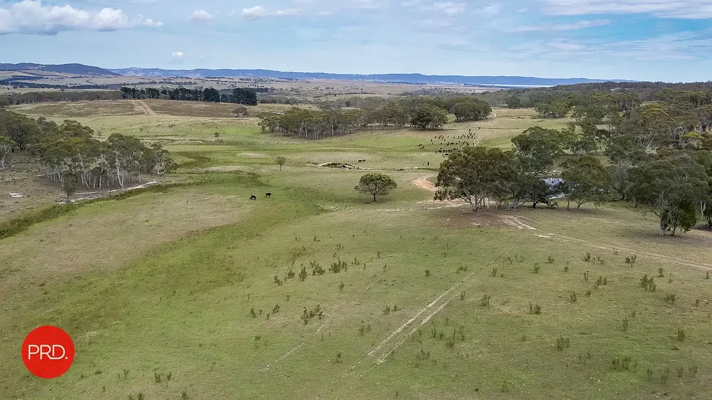 Bungendore "Kia Ora"