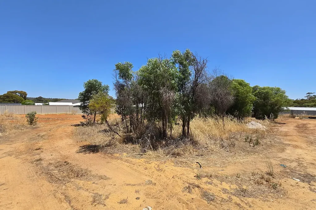 Narrogin  Vacant Elevated Land – Ideal Building Opportunity