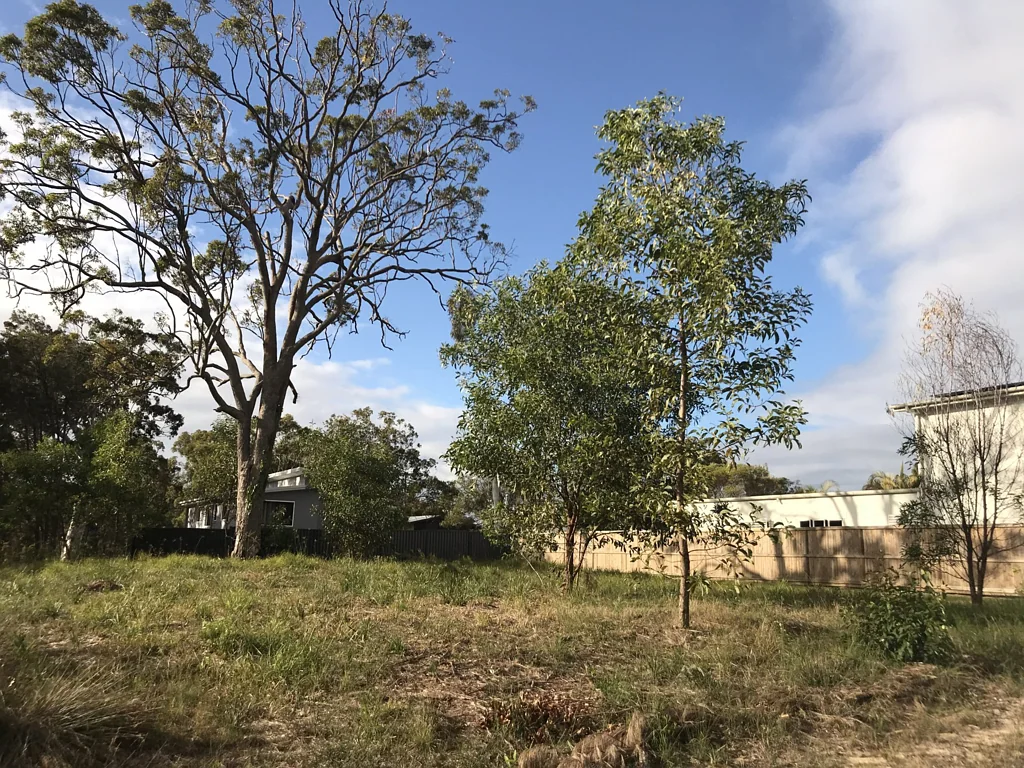 17 Leanne Street, Macleay Island, QLD 4184