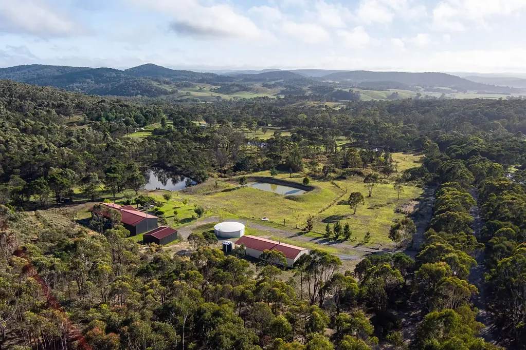 359 Forest Siding Road, Middle Arm, NSW 2580