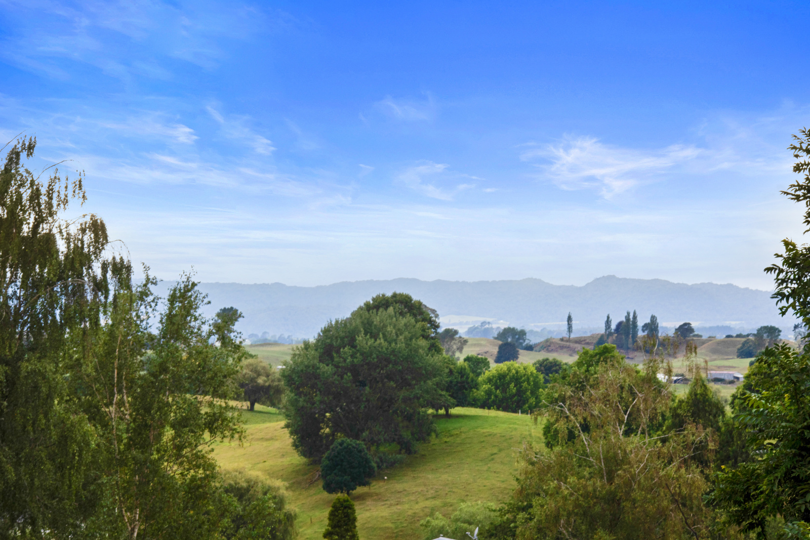 6 Ruru Crescent, Putaruru, South Waikato, 4 રૂમ, 0 બાથરૂમ