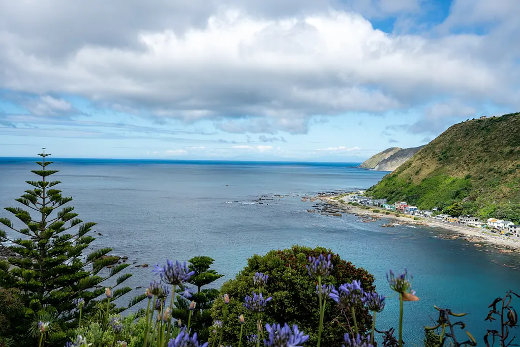 Island Bay 4ਬੈੱਡਰੂਮ HUGE GARAGING & SPACE FOR HOBBIES