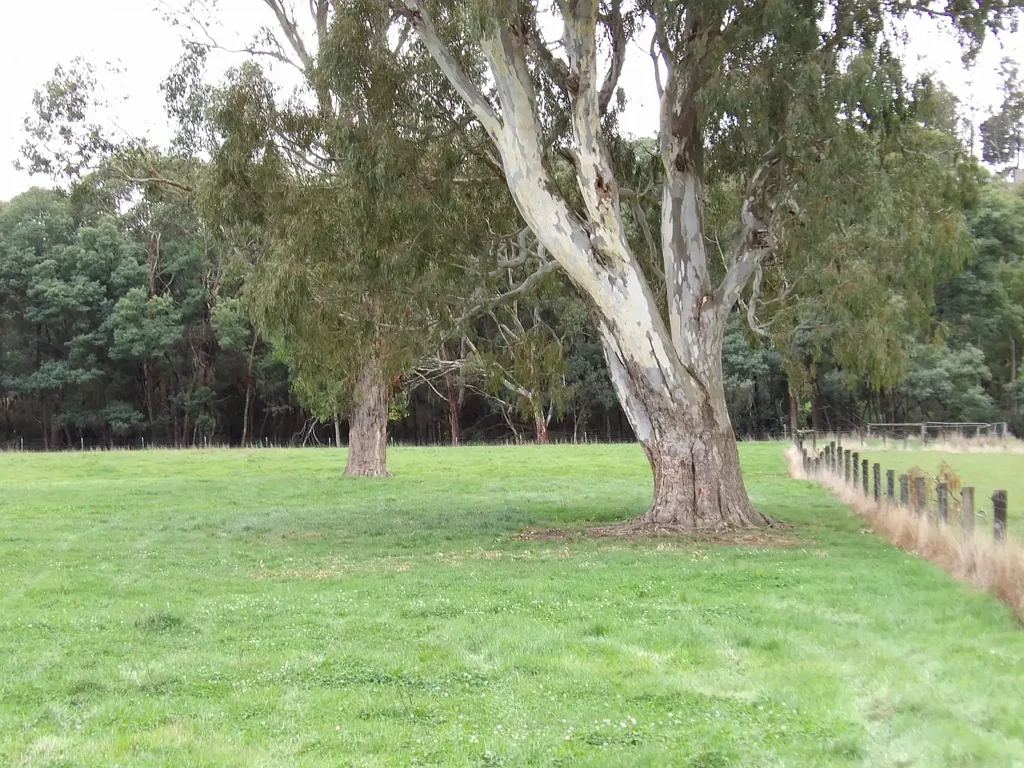 Glenburn Prime Lifestyle Acreage with Creek Frontage & Quality Infrastructure