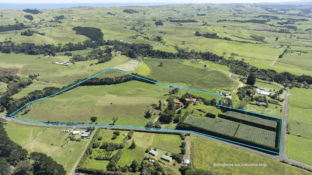 Waiuku Income and Lifestyle Living!
