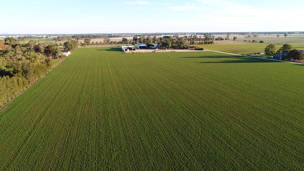 Narromine Lifestyle With Irrigation