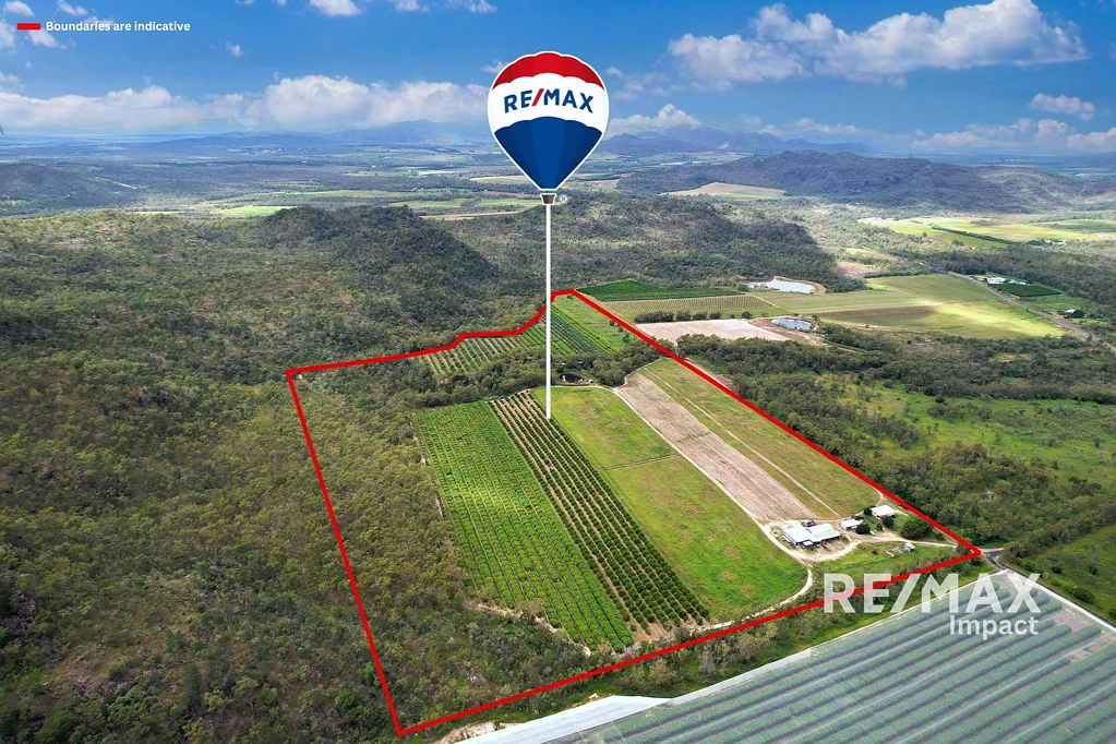 Dimbulah  Established Orchard Farm with Exceptional Potential To Expand