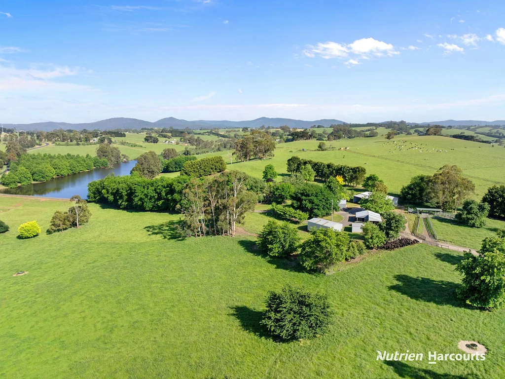 Neerim South Templemore - a Prestige 315 Acre property
