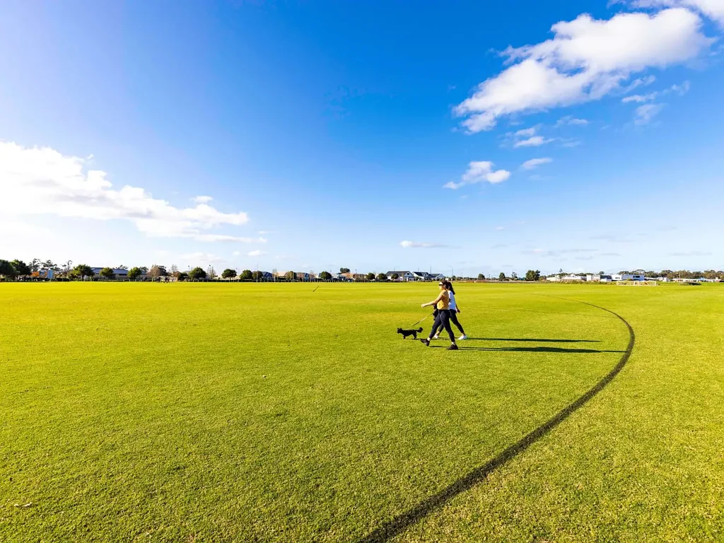 Vasse Corner Lot Opportunity