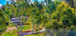 Lot 411, Bridgetown