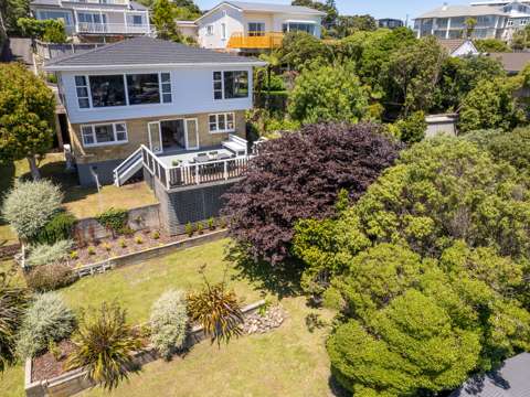 Seatoun 4部屋 Sun, Views, Space and Location