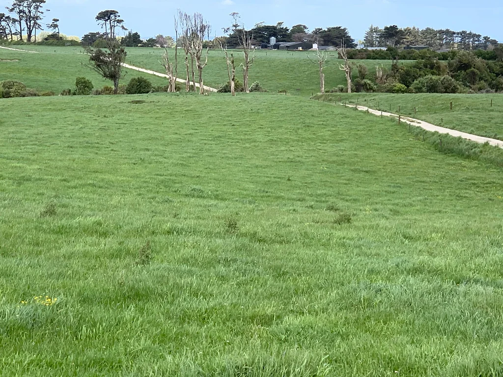 Manaia GREAT OPPORTUNITY HERE