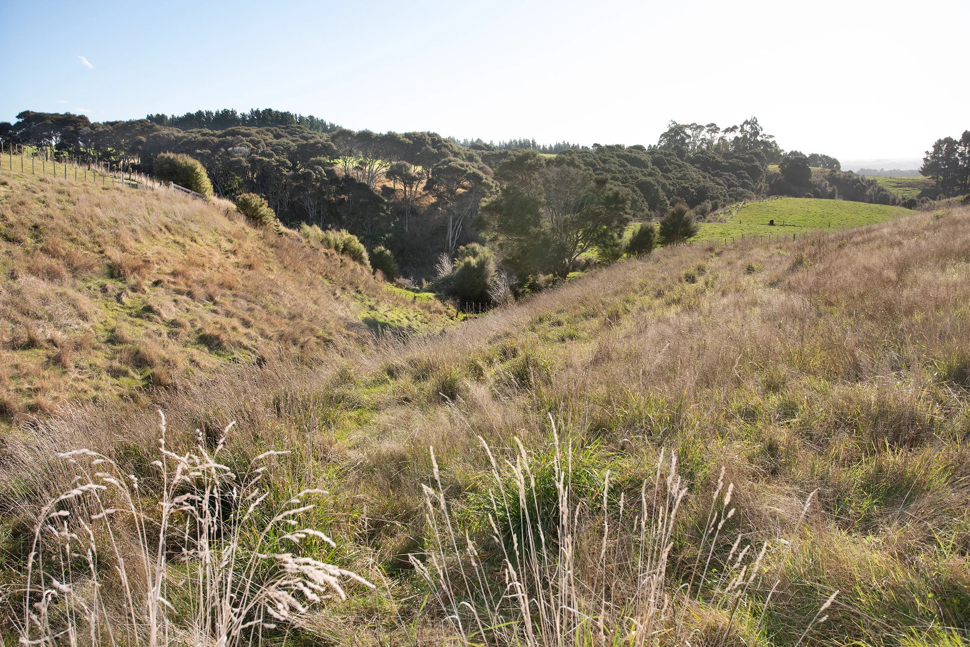 84B View Road, Halcombe, Manawatu, Manawatu-Wanganui, 0房, 0浴, Lifestyle Section
