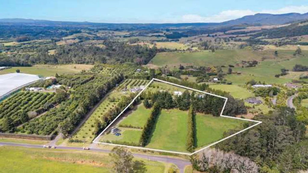 Katikati 3房  3ha established lifestyleblock, flat horticulture